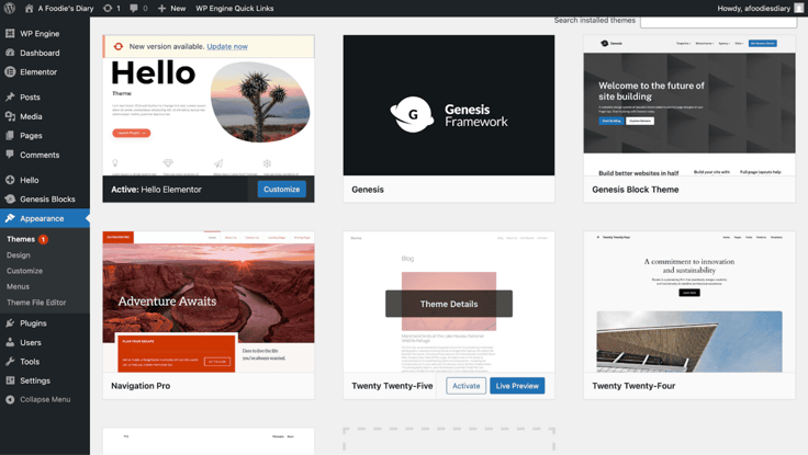Themes section of WordPress