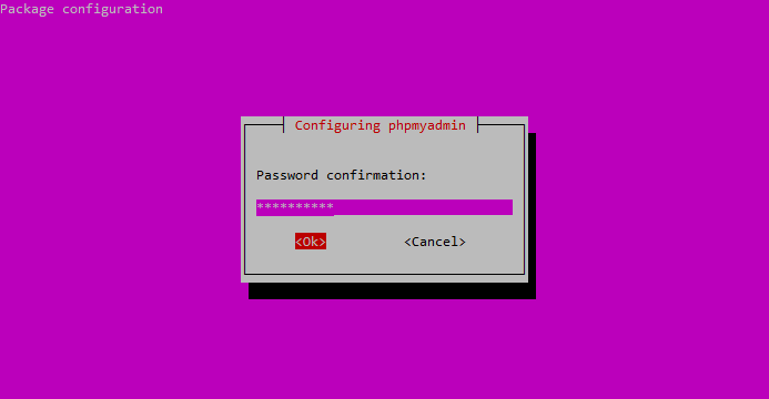 phpMyAdmin Package Configuration Confirm phpMyAdmin Password phpMyAdmin Package Configuration Confirm phpMyAdmin Password