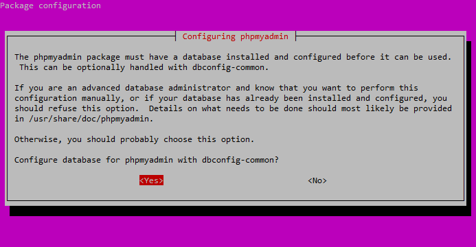 phpMyAdmin Package Configuration dbconfig-common Select Yes