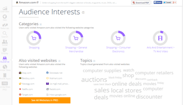 SimilarWeb Insight Amazon Audience Interests