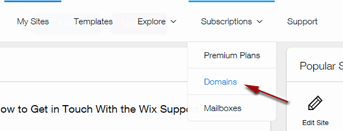 Screenshot of Subscriptions tab in Wix dashboard