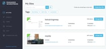 Liquid Web Review