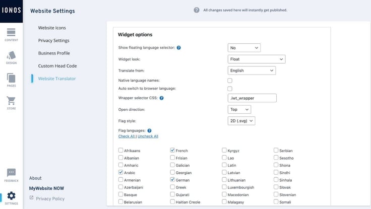 Screenshot of the IONOS website translator options