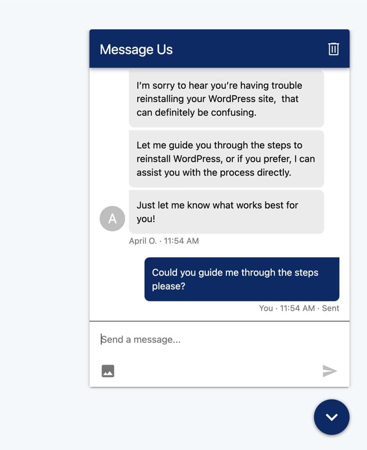 A screenshot of my conversation with IONOS' customer support