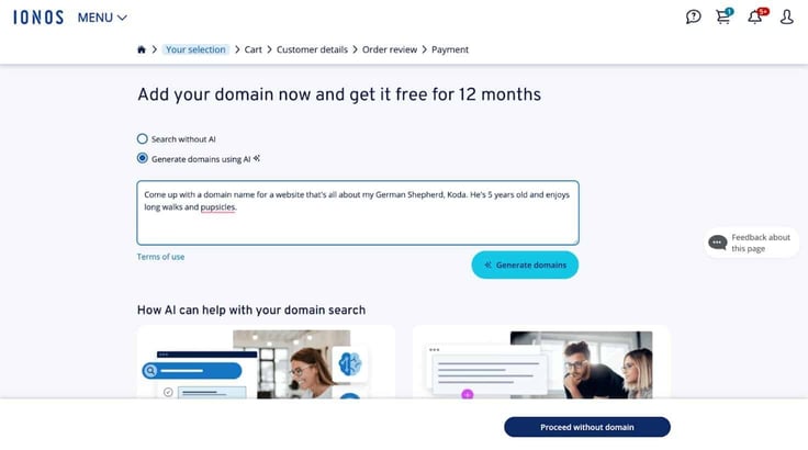 Screenshot of IONOS domain name checkout process
