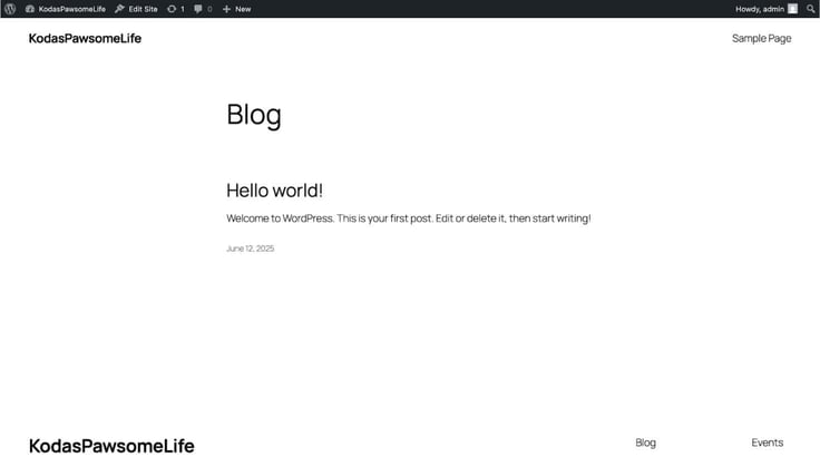 WordPress website homepage before edits