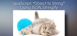JavaScript "Object to String" Using <em>JSON.stringify()</em>