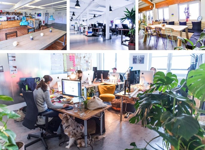 Jimdo office spaces and workstations capitalize on natural light Jimdo office spaces and workstations capitalize on natural light