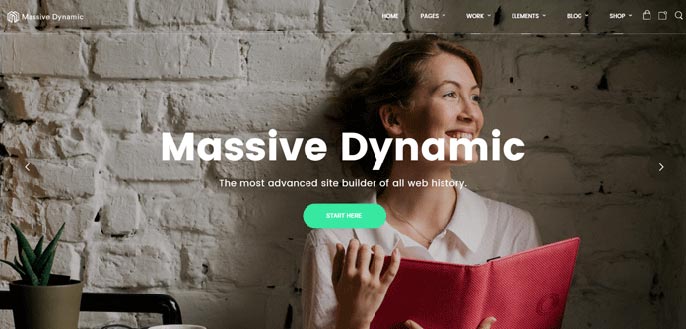 Massive Dynamic WordPress theme screenshot Massive Dynamic WordPress theme screenshot
