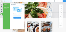 Wix Review