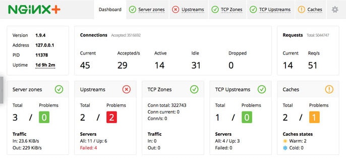 Screenshot of NGINX Plus dashboard