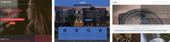 Examples of BoldGrid Themes Examples of BoldGrid Themes
