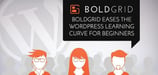 BoldGrid Imagines an Intuitive WordPress: Easing the Learning Curve for Beginners &amp; Adding Revenue Streams for Professional Developers