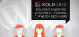 BoldGrid Imagines an Intuitive WordPress: Easing the Learning Curve for Beginners &#038; Adding Revenue Streams for Professional Developers