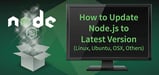How to Update Node.js to the Latest Version (Feb. 2024)