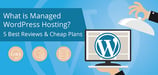 What is Managed WordPress Hosting? 5 Key Facts &amp; Best Hosts (2024)