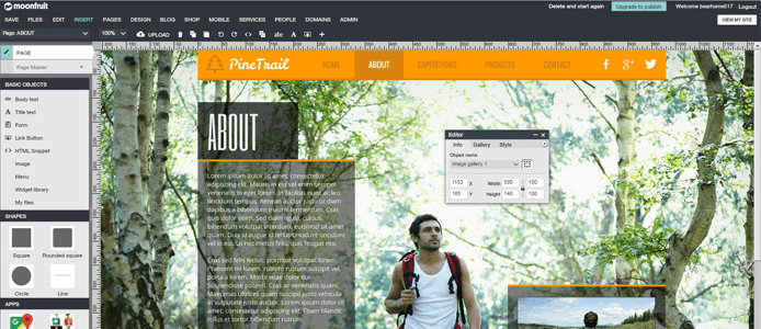 Screenshot of Moonfruit site builder