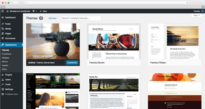 Screenshot of WordPress theme manager