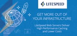 LiteSpeed Web Servers Get More Out of Existing Infrastructure by Delivering High-Performance Caching and Lowering Costs