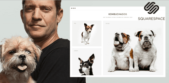 Photo collage of Michael Faye and screenshot of the Kombucha Dog website
