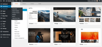 WordPress Review