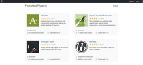 WordPress Review