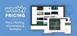 Weebly Pricing: Plans, Features &amp; Monthly Cost (Feb. 2024)