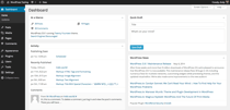 WordPress Review