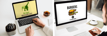 Collage of people blogging about hamburgers and wildlife Collage of people blogging about hamburgers and wildlife