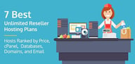 7 Best Unlimited Reseller Hosting Plans (2024)
