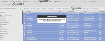 cPanel Backups Screenshot