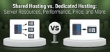 Shared Hosting vs. Dedicated Hosting: Differences &amp; 6 Best Hosts (2024)