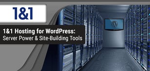 1&amp;1 IONOS WordPress Hosting Review (2024)