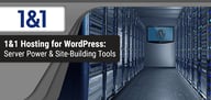 1&amp;1 IONOS WordPress Hosting Review (2024)
