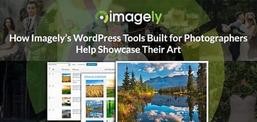 Imagely Delivers Wordpress Tools Built For Photographers To Showcase Their Art