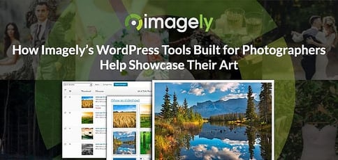 Imagely Delivers Wordpress Tools Built For Photographers To Showcase Their Art Imagely Delivers Wordpress Tools Built For Photographers To Showcase Their Art