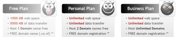 Screenshot of Biz.nf's hosting plan feature sets