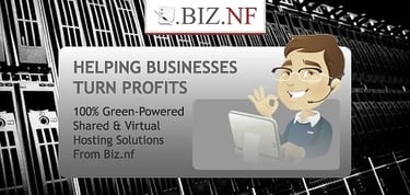 Biz Nf Helps Businesses Turn Profits With Green Hosting