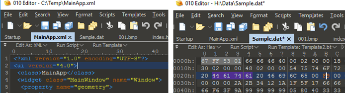 Screenshots of the 010 Editor