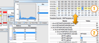 Screenshot of SweetScape's analytics tools and the 010 Editor