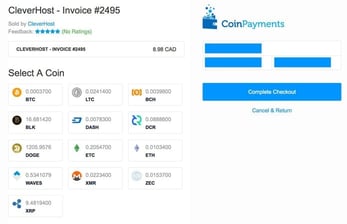 Screenshot of CleverHost invoice for cryptocurrency