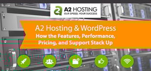 A2 Hosting WordPress Review (2024): Features, Support &amp; Coupons
