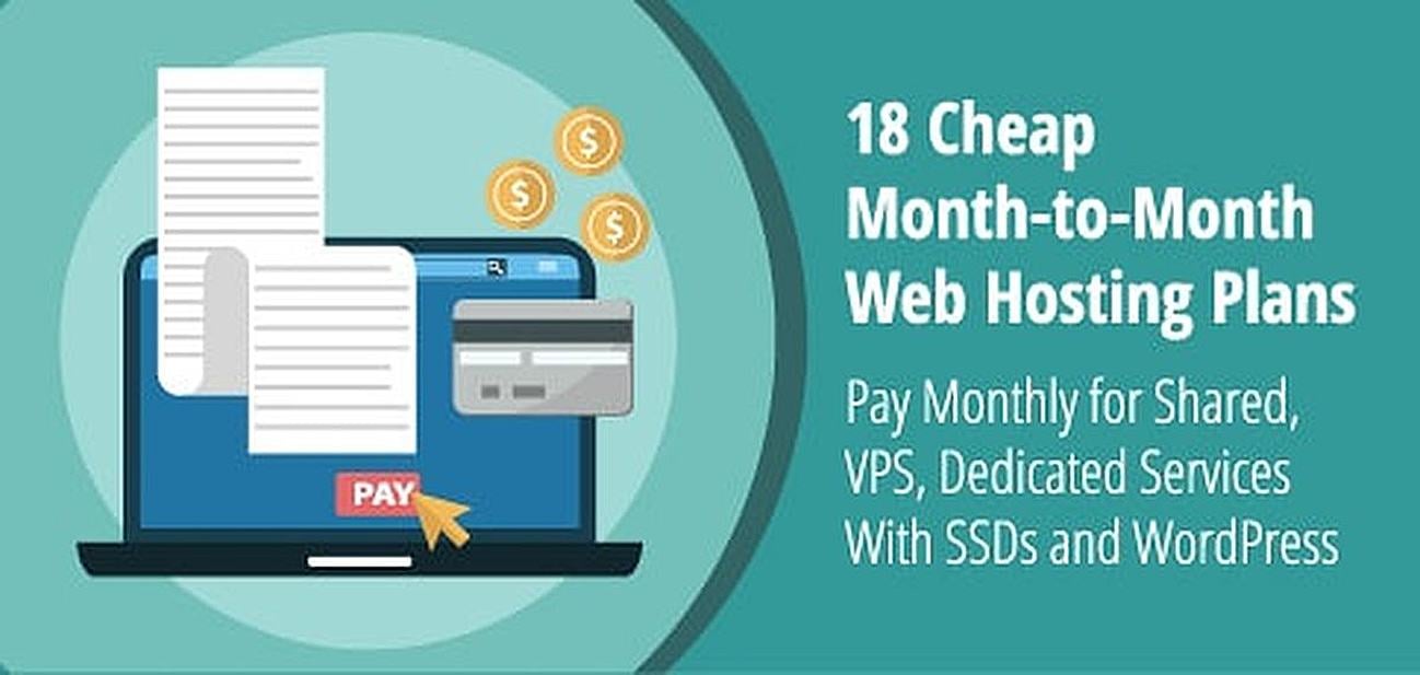 18 months ultra Reliable SSD Professional Web Hosting cPanel Softaculous USA 