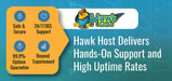Hawk Host: How a Commitment to Delivering Hands-On Support and High Uptime Rates Has Led to a Decade-Long Run in an Ultra-Competitive Industry
