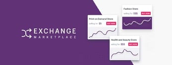 Graphical representation of the Exchange by Shopify marketplace