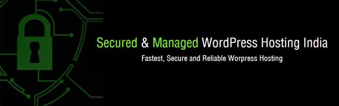 Graphic depicting secure WordPress hosting solution Graphic depicting secure WordPress hosting solution
