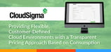 CloudSigma — Providing Flexible, Customer-Defined Cloud Environments with a Transparent Pricing Approach Based on Consumption