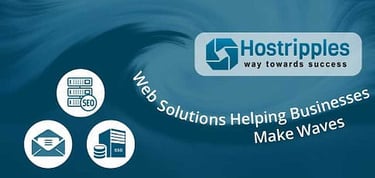 Hostripples Web Solutions Helping Businesses Make Waves