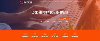 Screenshot of new Evolve Web Hosting site