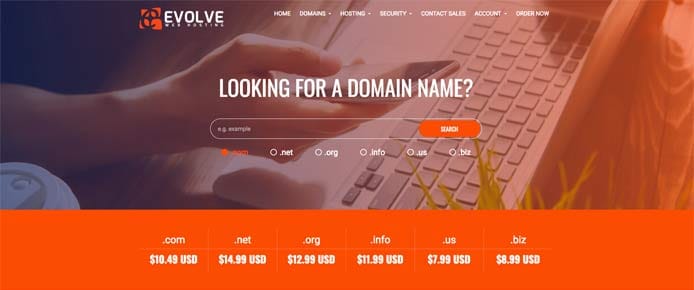 Screenshot of new Evolve Web Hosting site